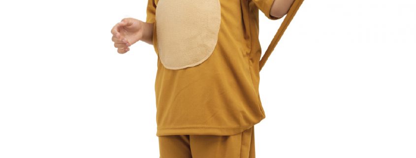 025 LEÃO INFANTIL